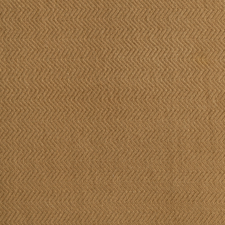 Media_00