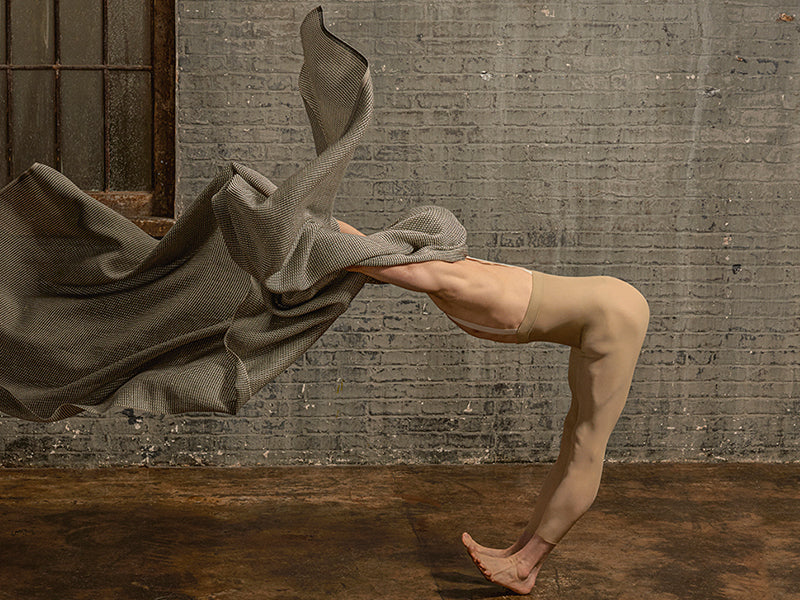 The Studio Collection