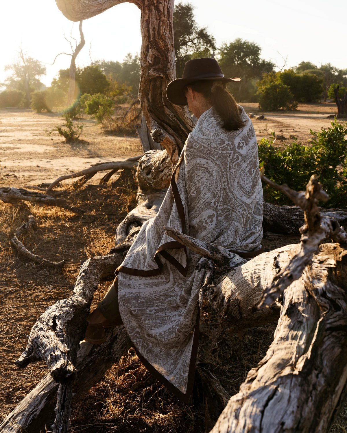 A person wearing a wide-brim black hat sits on a large tree root in an outdoor desert landscape, wrapped in a light beige paisley blanket.