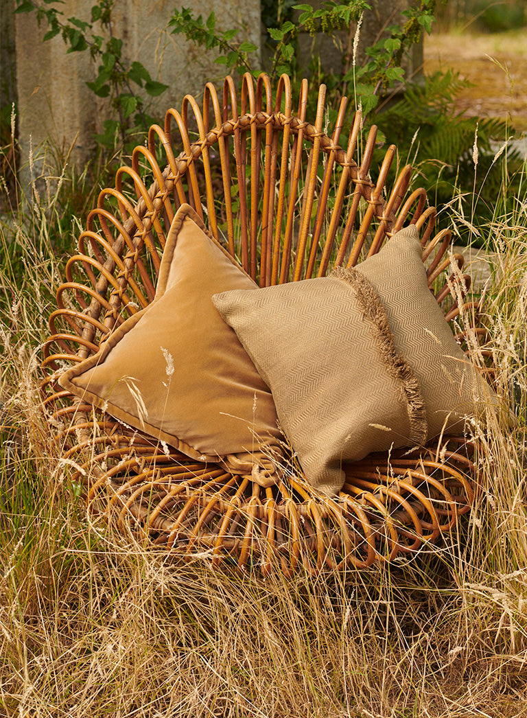 Cashmere & Alpaca Fabrics