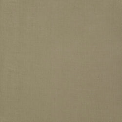 Cleopatra - Gold