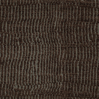 Mangrove - Canopy